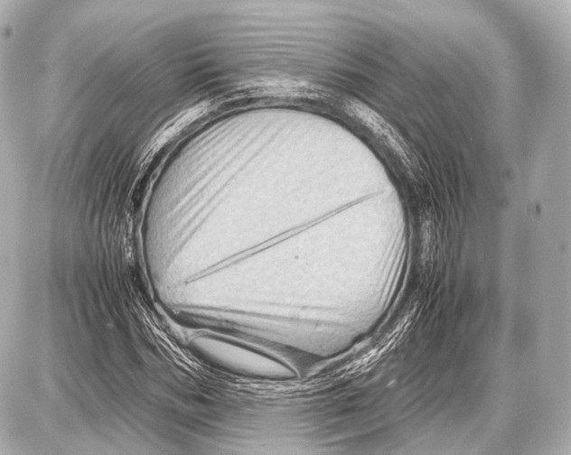 X0000087010970200705141827