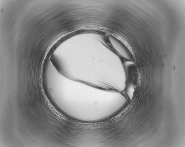 X0000087010976200705141827