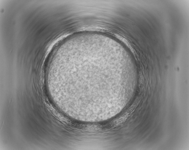 X0000087010979200705141827