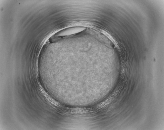 X0000087010980200705141827