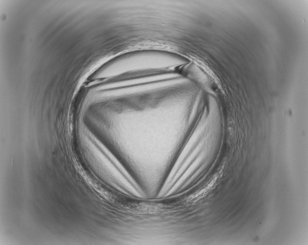 X0000087010981200705141827