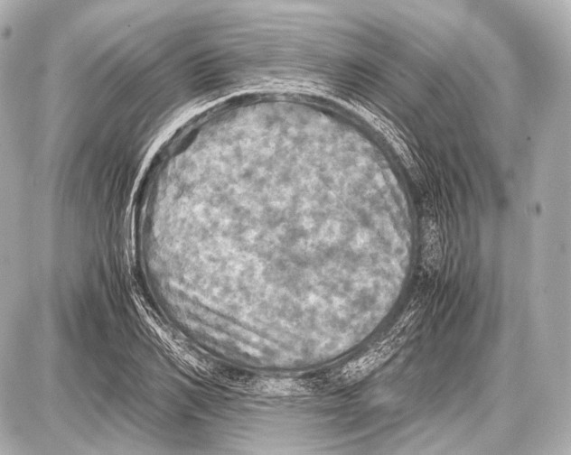 X0000087010982200705141827