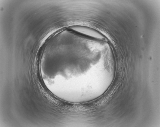 X0000087010983200705141827