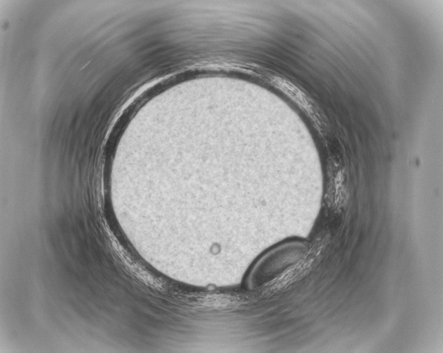 X0000087010984200705141827