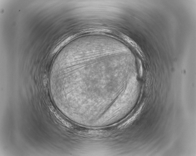 X0000087010985200705141827