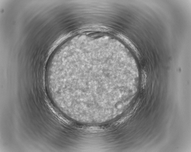 X0000087010986200705141827