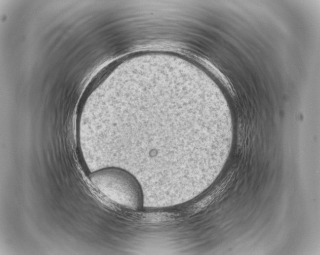 X0000087010988200705141827