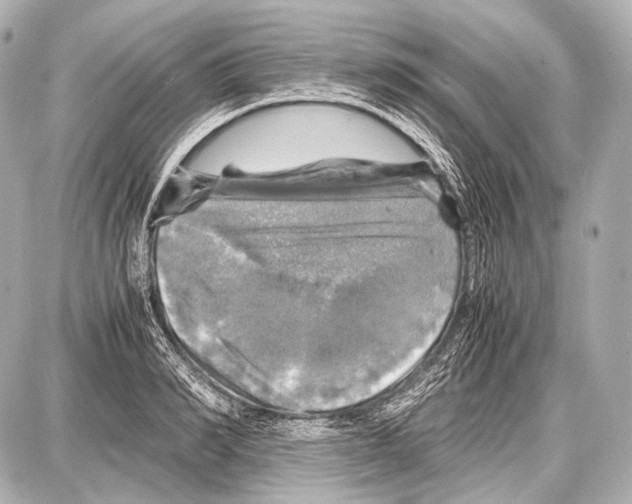 X0000087010990200705141827