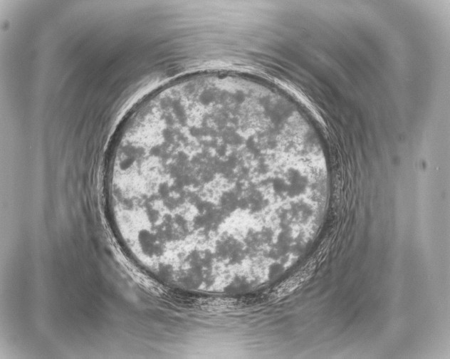 X0000087010991200705141827