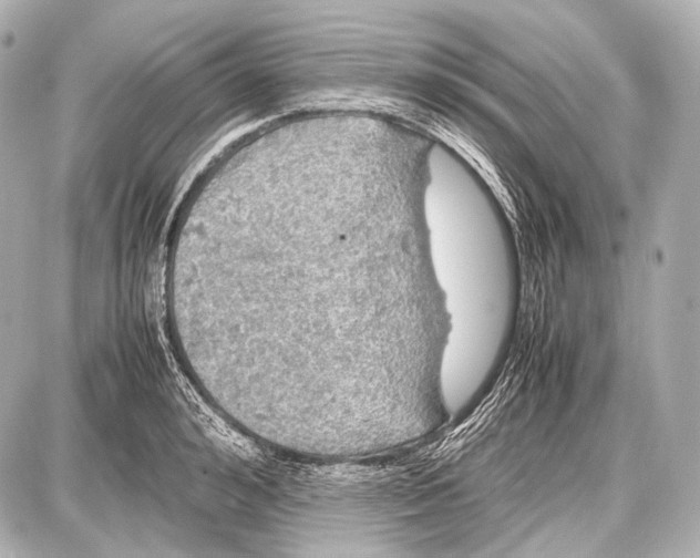 X0000087010992200705141827