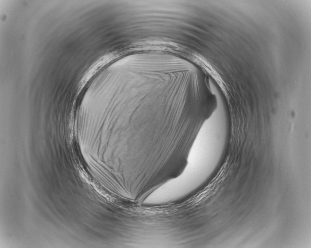 X0000087010994200705141827