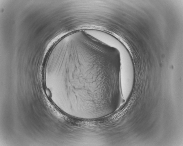 X0000087010995200705141827