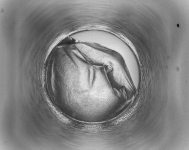 X0000087010997200705141827