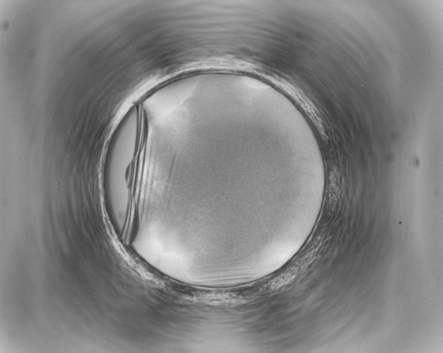 X0000087010998200705141827