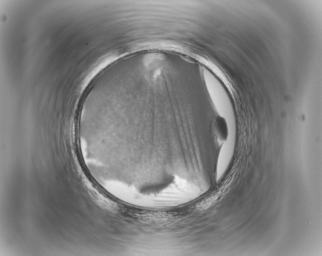 X0000087010999200705141827