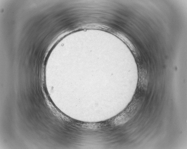 X0000087011000200705141827