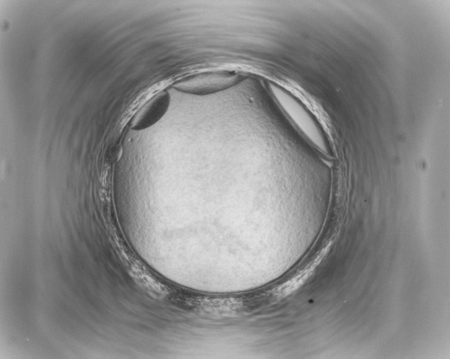 X0000087011001200705141827