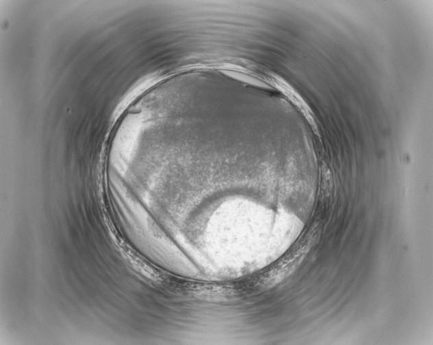 X0000087011002200705141827