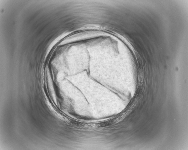 X0000087011003200705141827