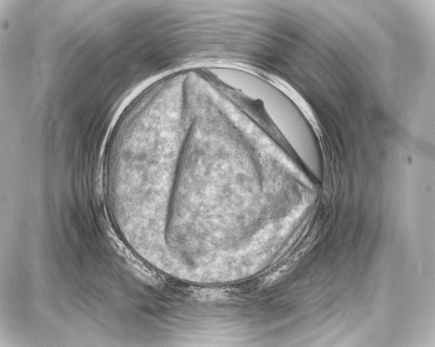 X0000087011004200705141826