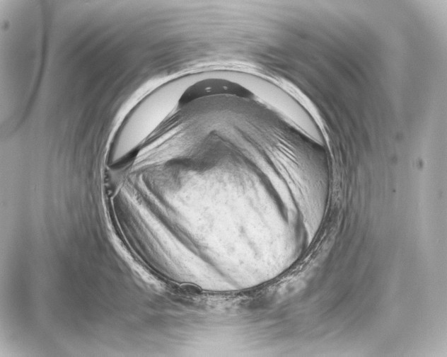 X0000087011005200705141826