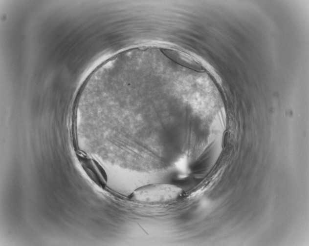 X0000087011007200705141826