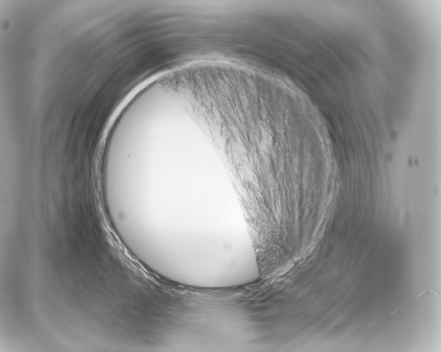 X0000087011008200705141826