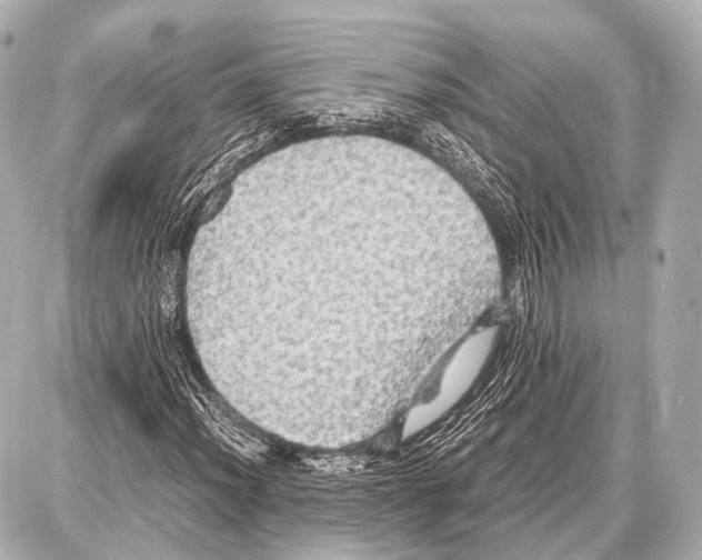 X0000087011012200705141826