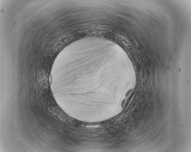 X0000087011013200705141826