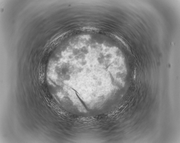 X0000087011015200705141826