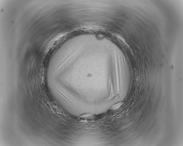 X0000087011016200705141826