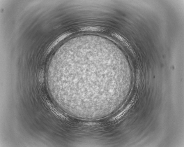 X0000087011017200705141826