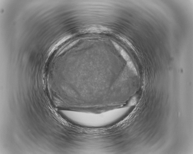 X0000087011018200705141826