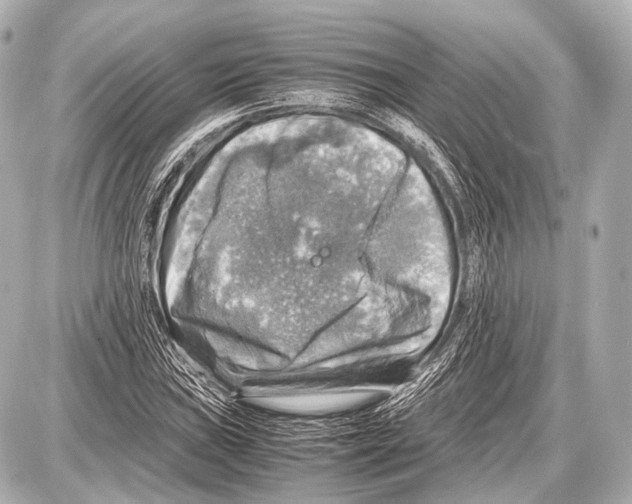 X0000087011019200705141826