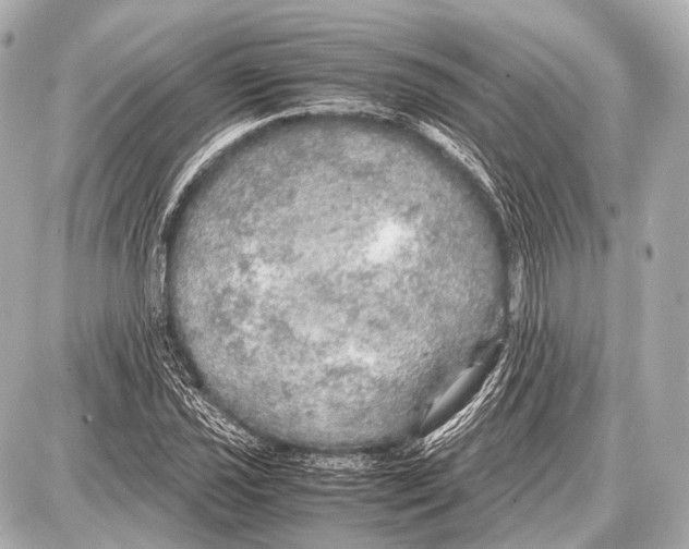 X0000087011021200705141826