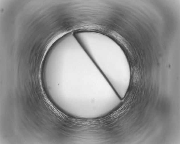 X0000087011024200705141826