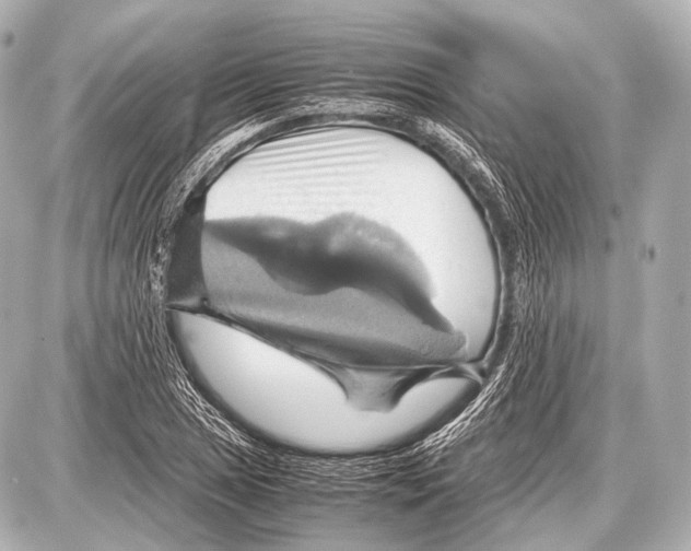 X0000087011025200705141826