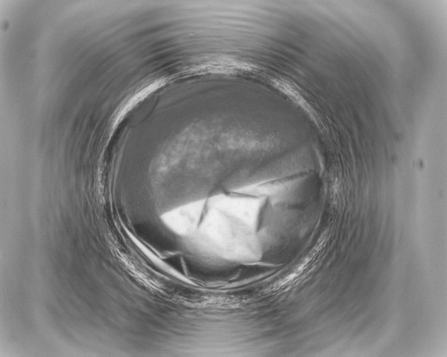 X0000087011026200705141826