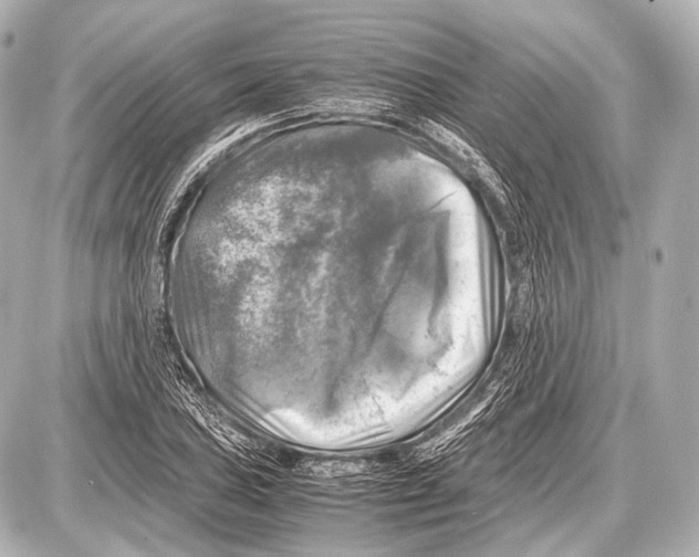 X0000087011027200705141826