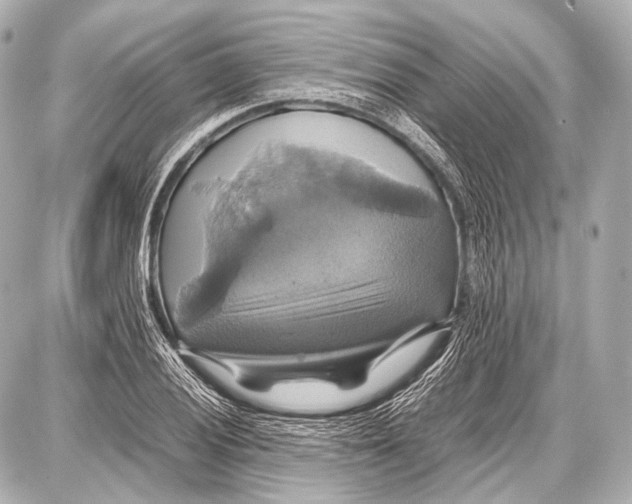 X0000087011028200705141826