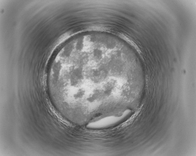 X0000087011029200705141826