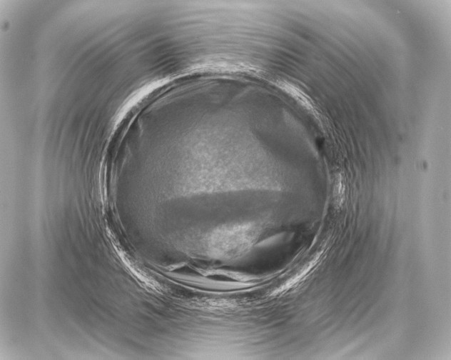 X0000087011030200705141826