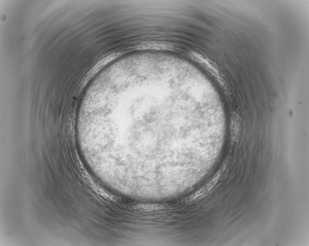 X0000087011033200705141826