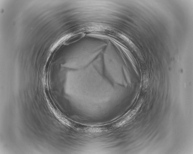 X0000087011034200705141826