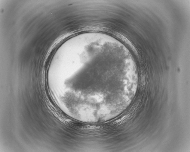 X0000087011035200705141826