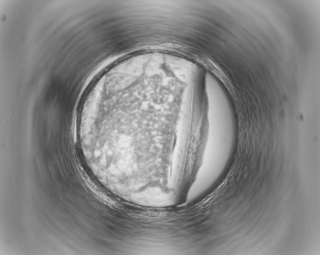 X0000087011036200705141826