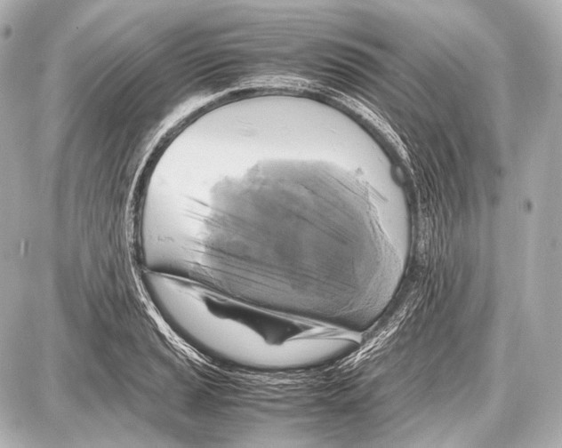 X0000087011037200705141826