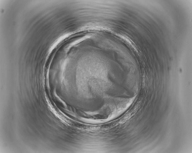 X0000087011038200705141826