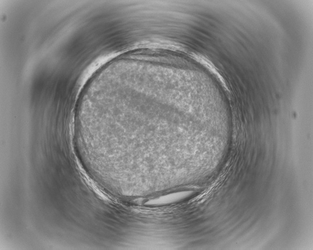 X0000087011040200705141826