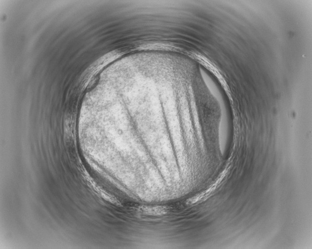 X0000087011041200705141826